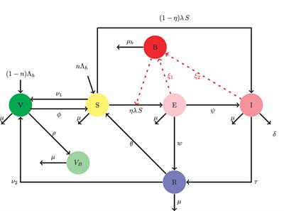 A mathematical model on the transmission dynamics of typhoid fever with treatment and booster vaccination